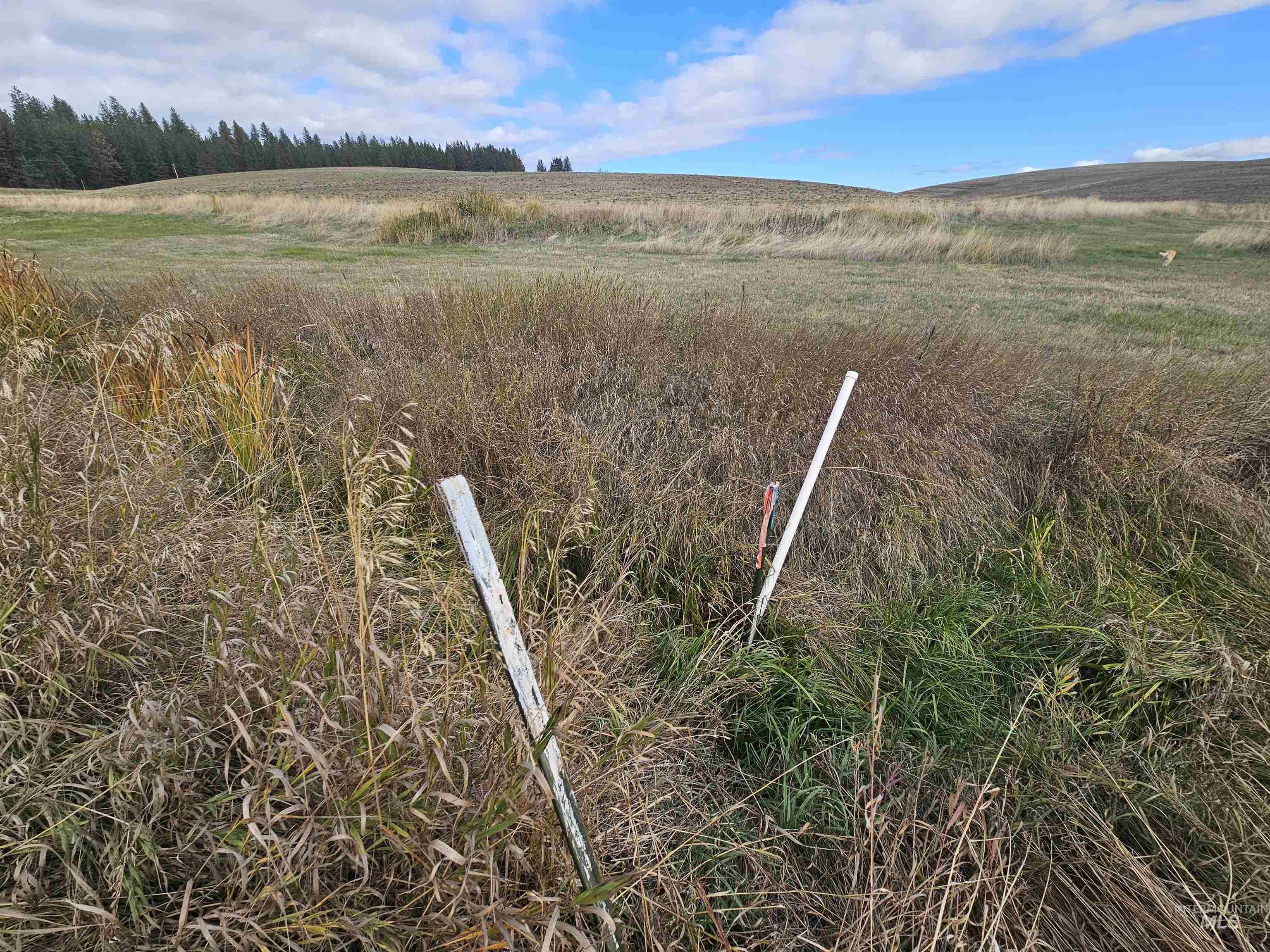 0 Brown Road Lenore, ID 83541 - Photo 9 of 15