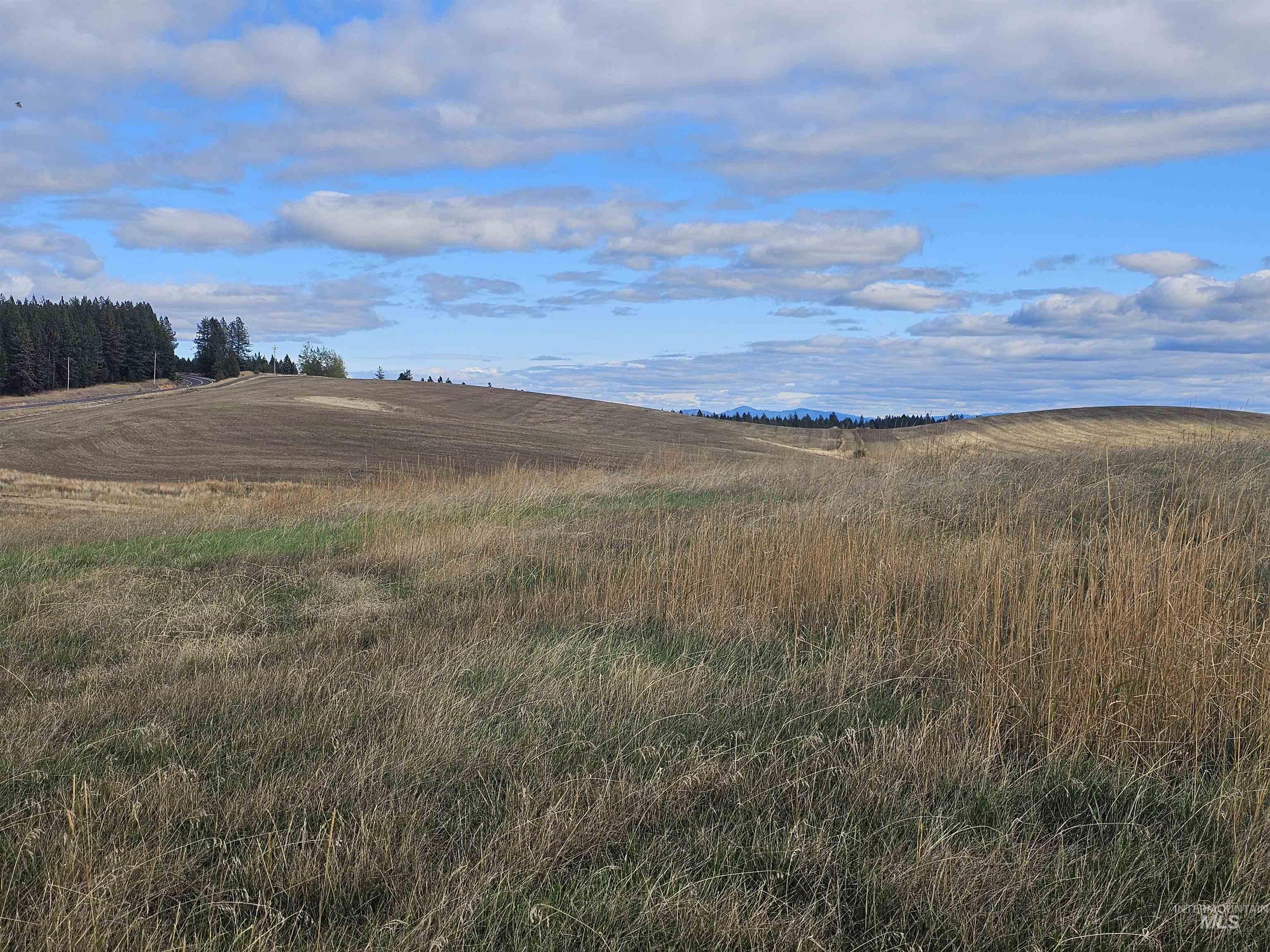 0 Brown Road Lenore, ID 83541 - Photo 10 of 15