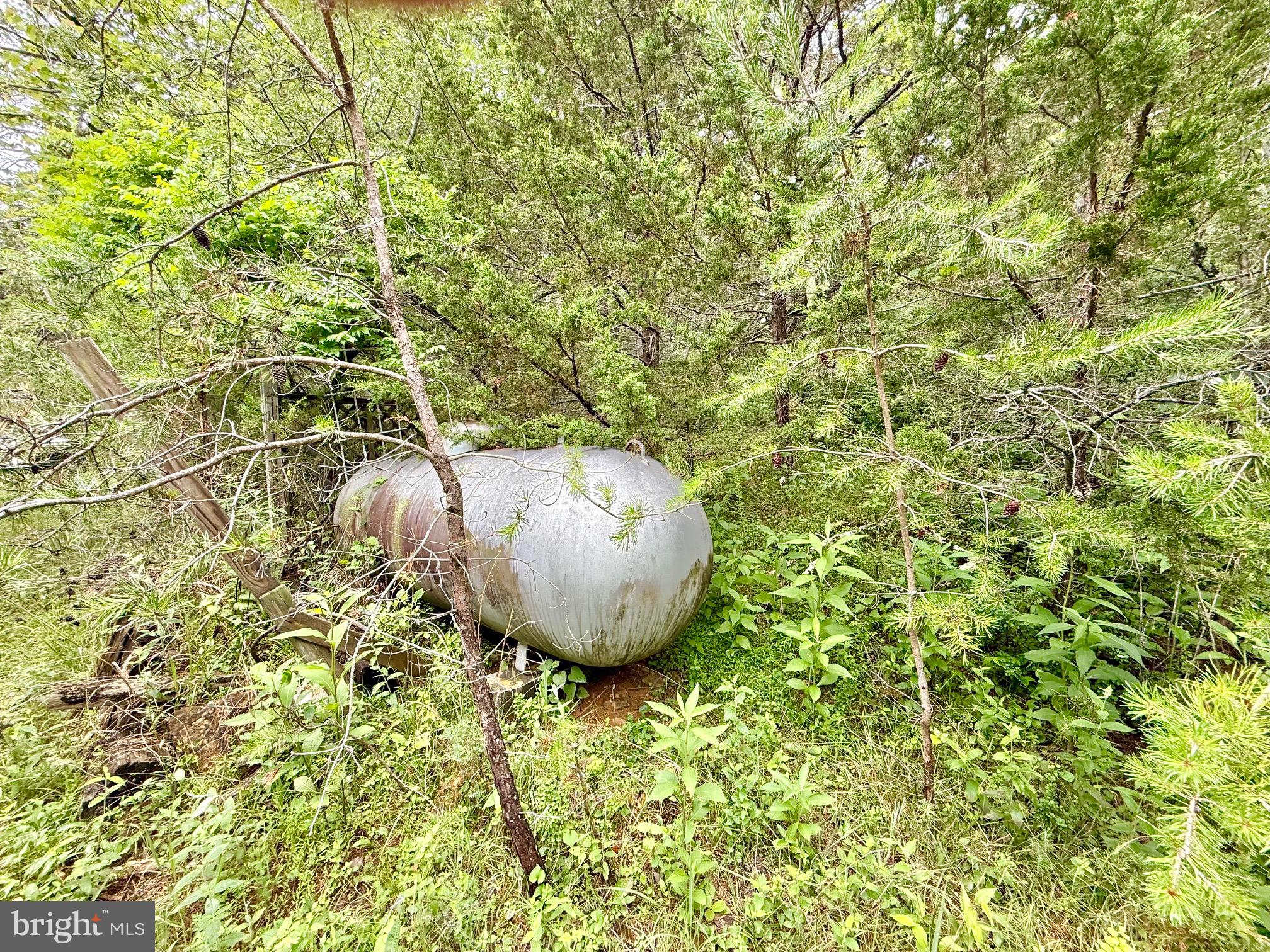 302 Valley View Road Lost City, WV 26810 - Photo 10 of 19