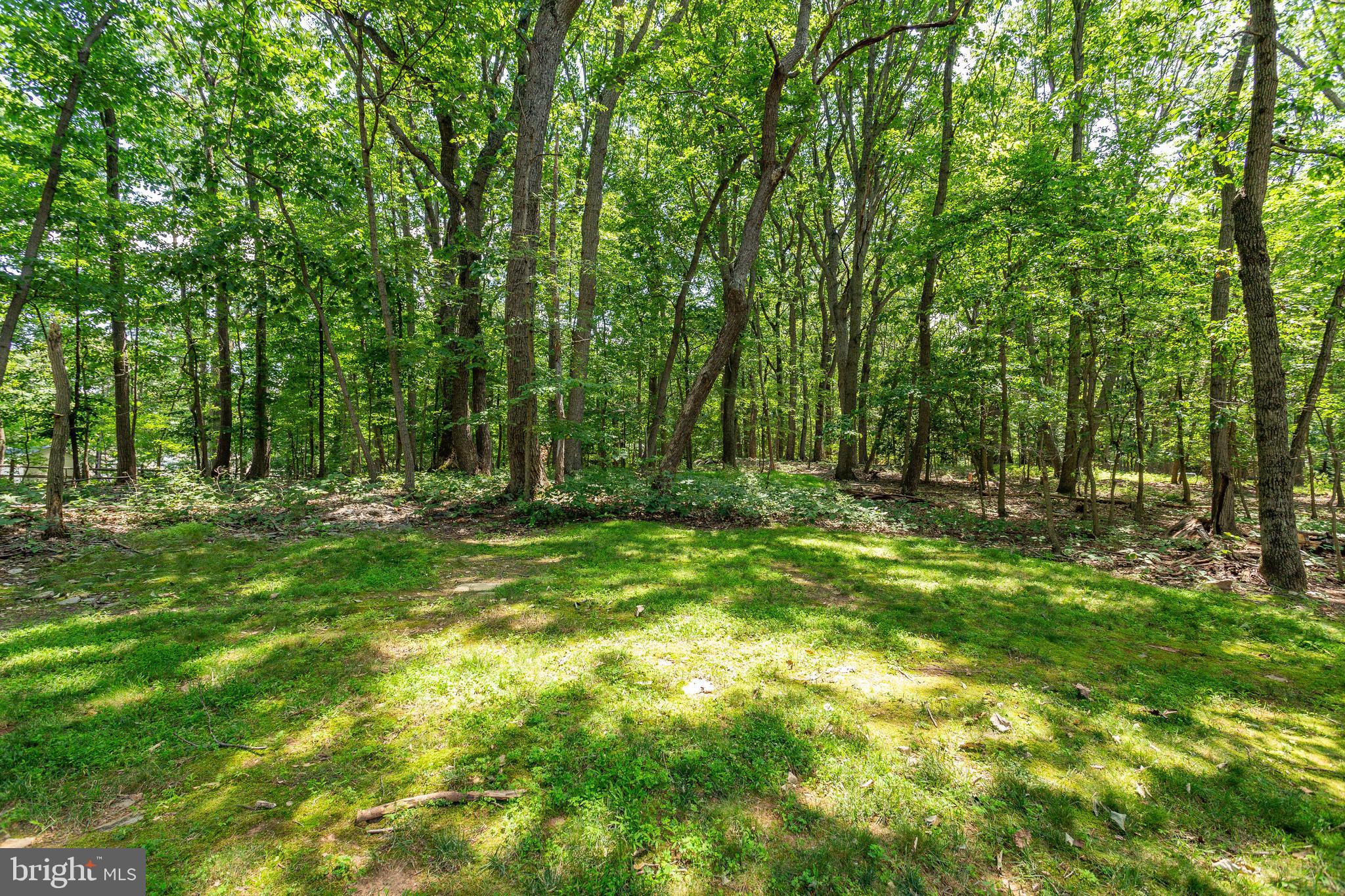 10520 Wickens Road Vienna, VA 22181 - Photo 40 of 44 Wooded Lot 2+ Acres