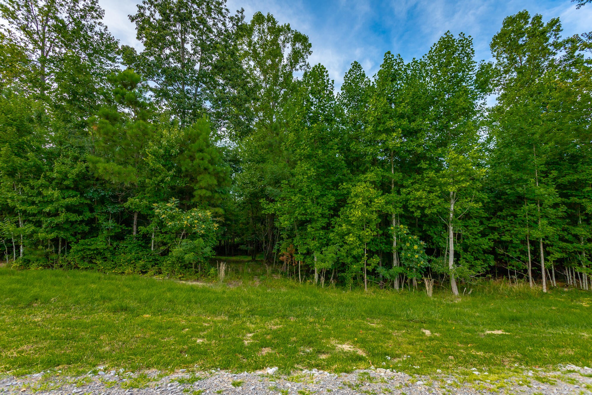 0 Cherokee Path Jasper, TN 37347 - Photo 17 of 55 Gallery Image 17