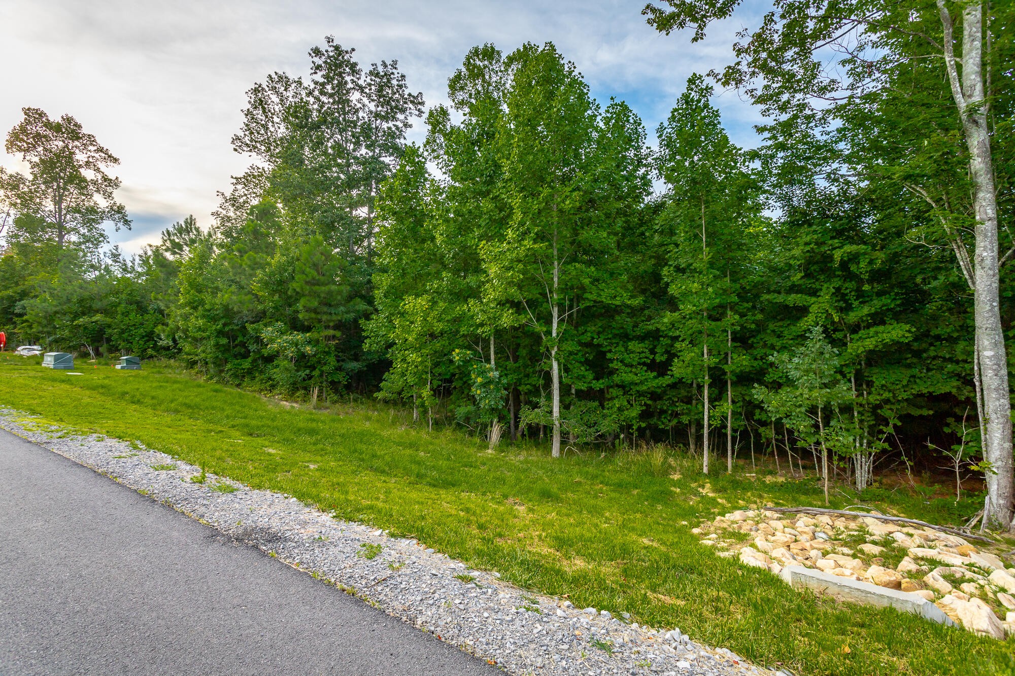 0 Cherokee Path Jasper, TN 37347 - Photo 19 of 55 Gallery Image 19
