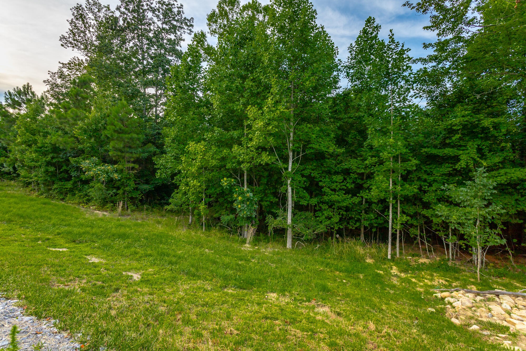 0 Cherokee Path Jasper, TN 37347 - Photo 20 of 55 Gallery Image 20