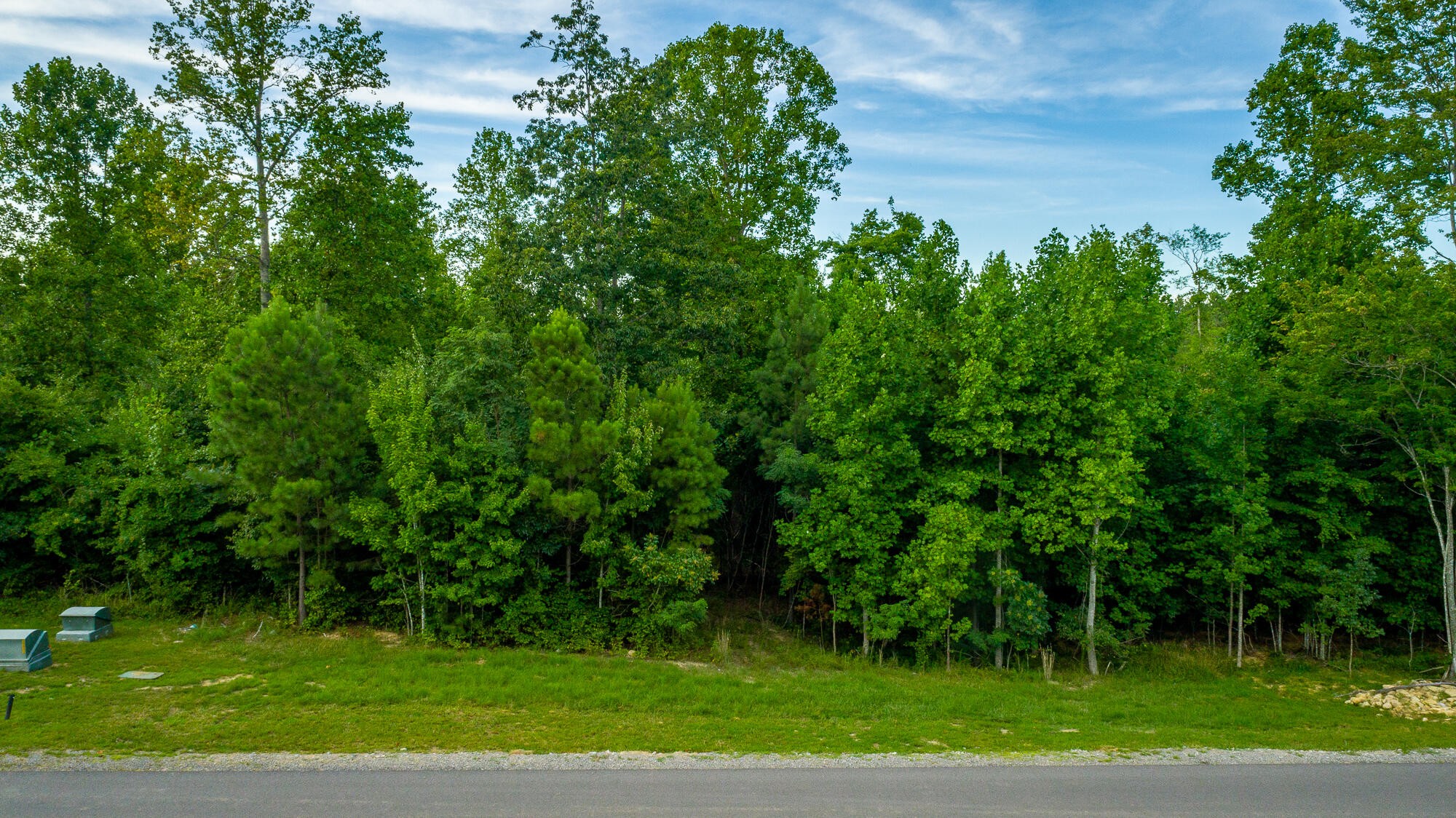 0 Cherokee Path Jasper, TN 37347 - Photo 23 of 55 Gallery Image 23