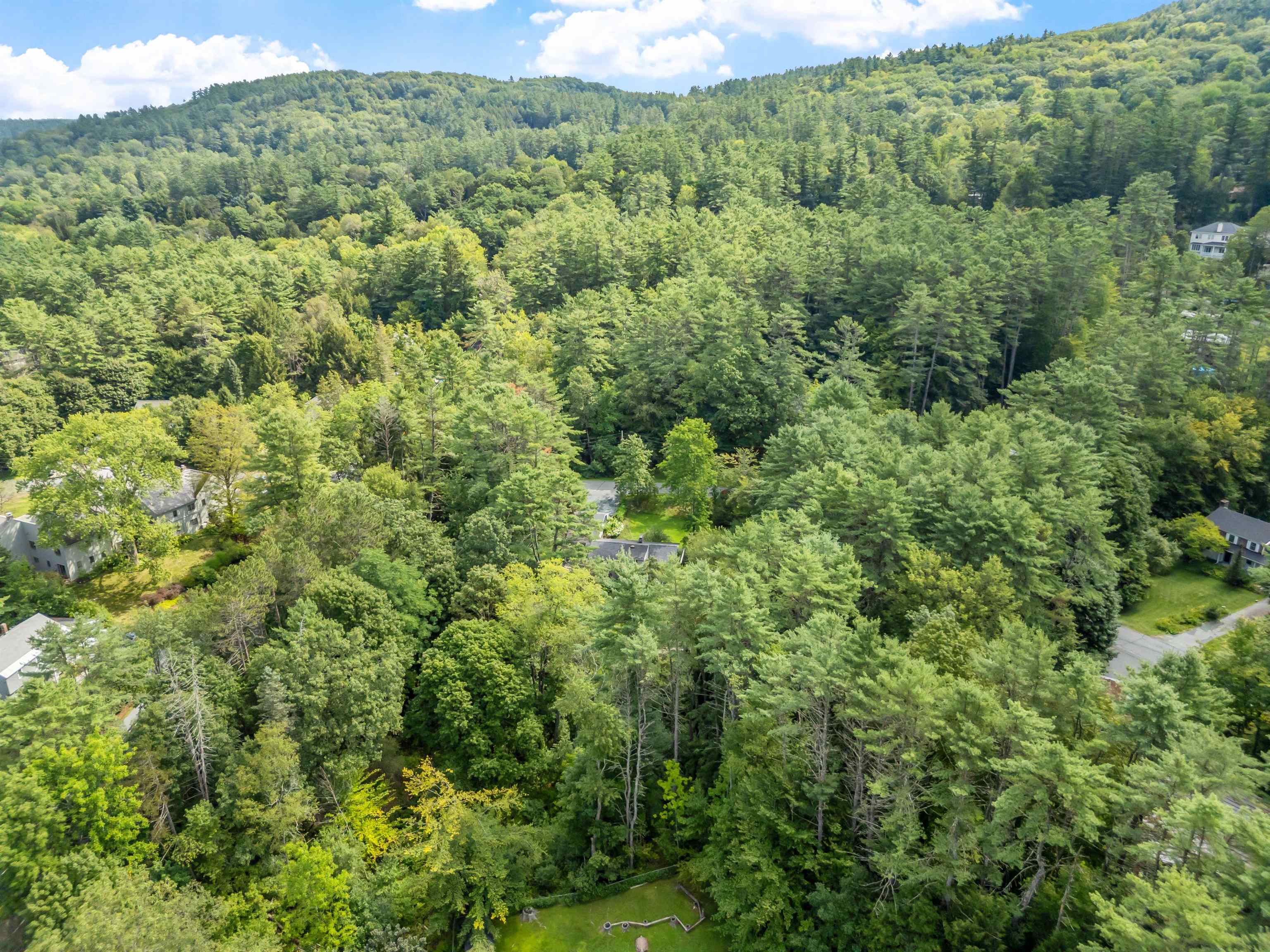 1 Kingsford Road Hanover, NH 03755 - Photo 11 of 60