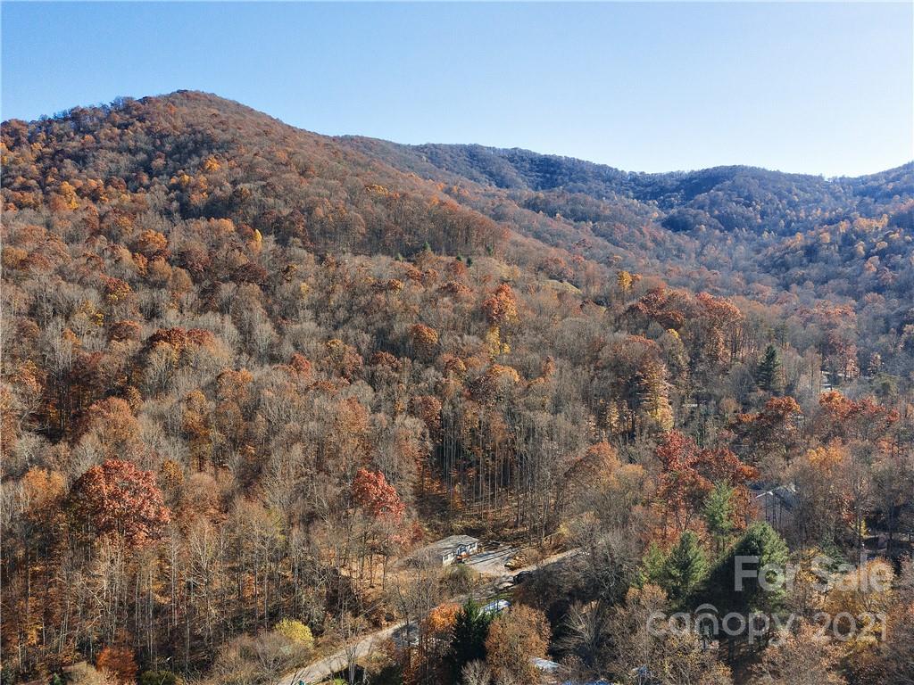 486 Patton Cove Road Swannanoa, NC 28778 - Photo 20 of 24 Gallery Image 20