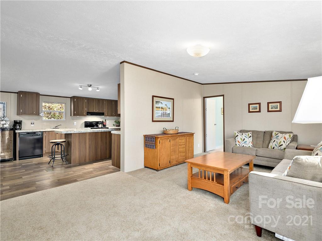 486 Patton Cove Road Swannanoa, NC 28778 - Photo 3 of 24 Gallery Image 3