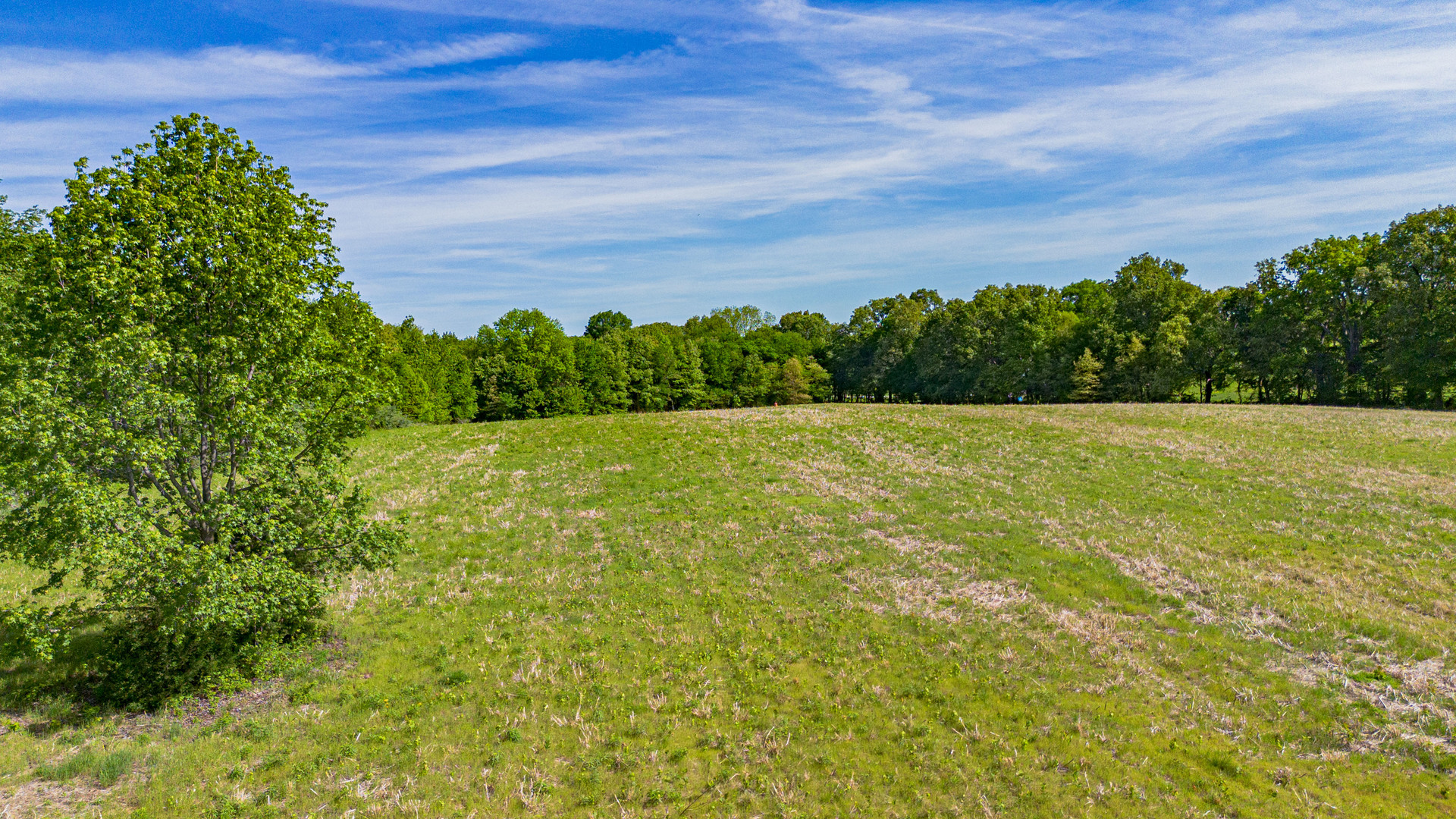 0 Adams Way Metropolis, IL 62960 - Photo 11 of 13 a view of a yard with a house