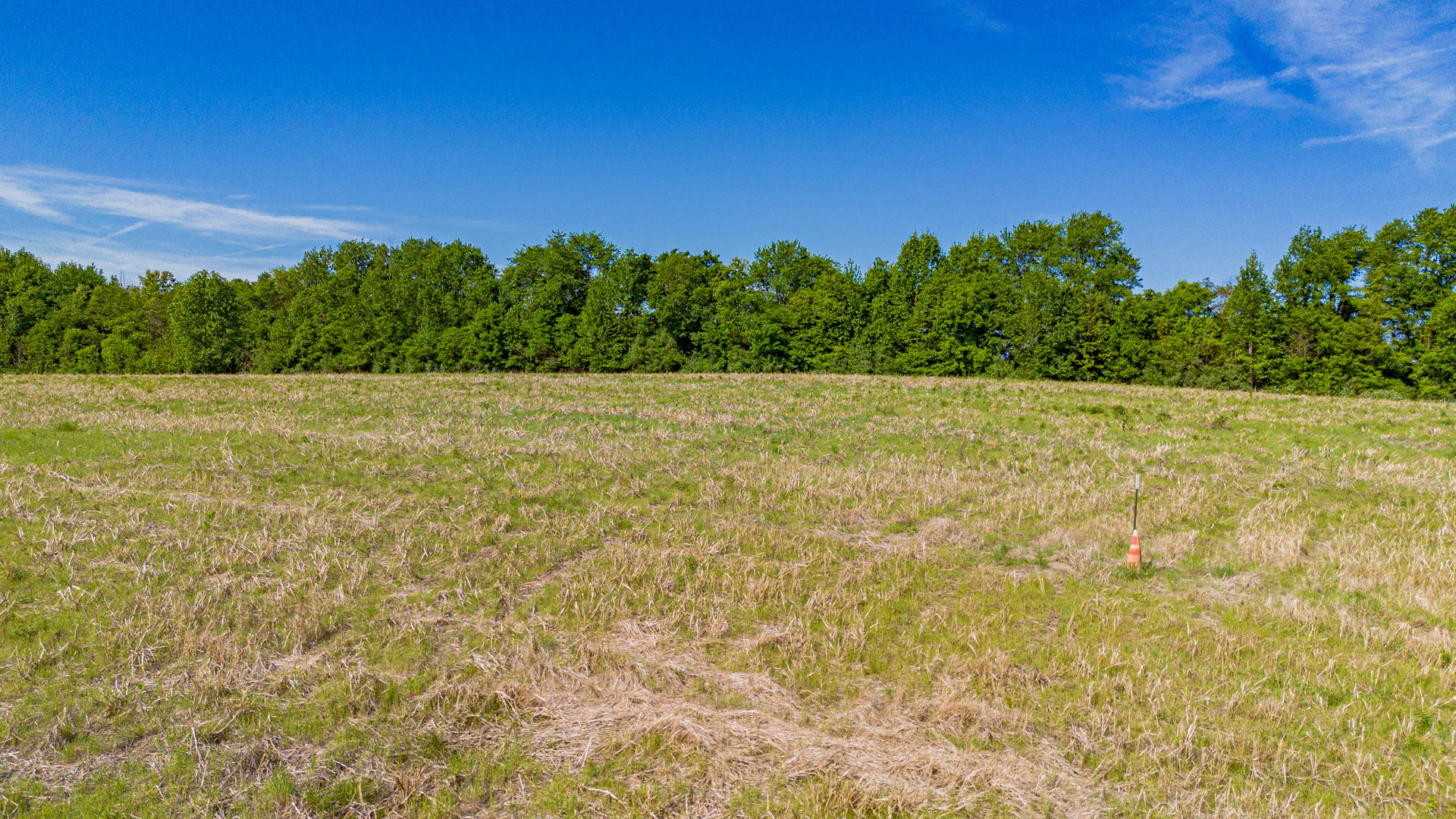 0 Adams Way Metropolis, IL 62960 - Photo 13 of 13 a view of a field with an outdoor space