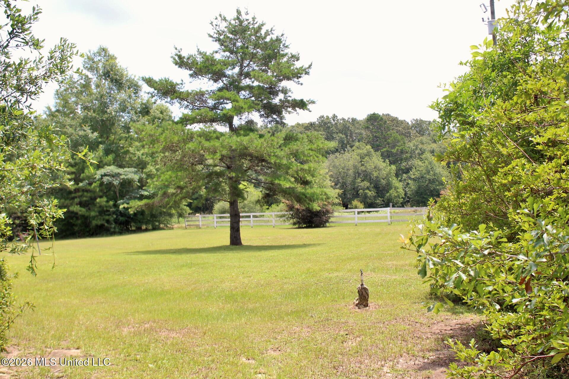 356 Cameron Road Lucedale, MS 39452 - Photo 18 of 22 18