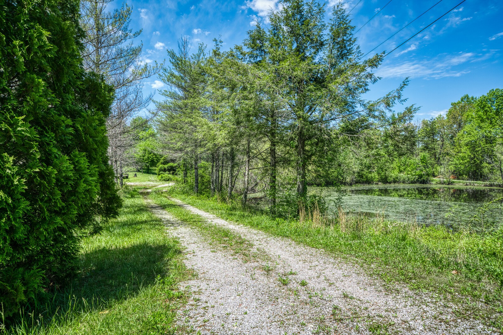 1185 Model Farm Road Jamestown, TN 38556 - Photo 22 of 36 Gallery Image 22