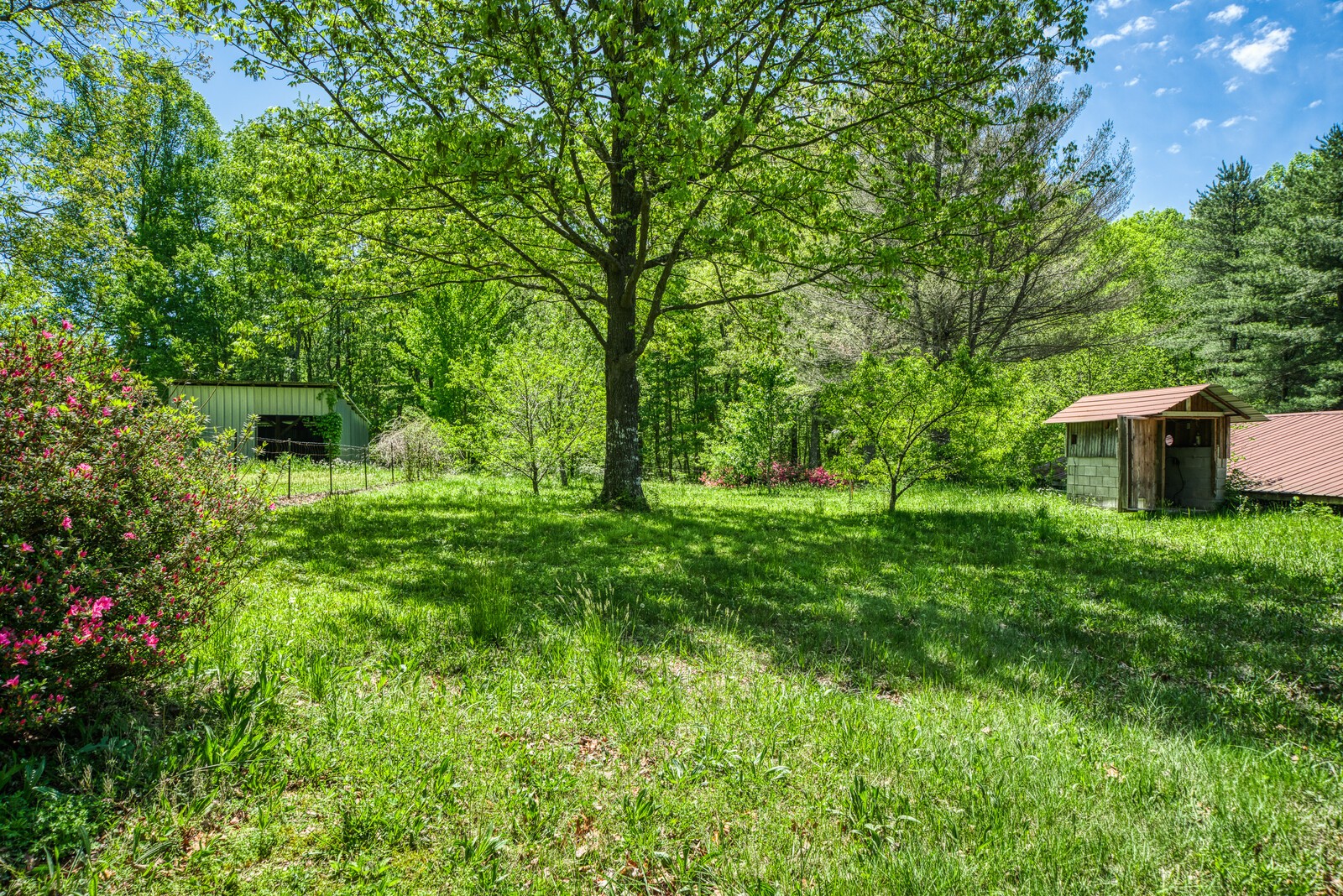 1185 Model Farm Road Jamestown, TN 38556 - Photo 28 of 36 Gallery Image 28