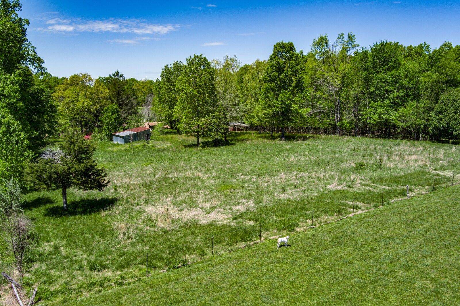 1185 Model Farm Road Jamestown, TN 38556 - Photo 34 of 36 Gallery Image 34