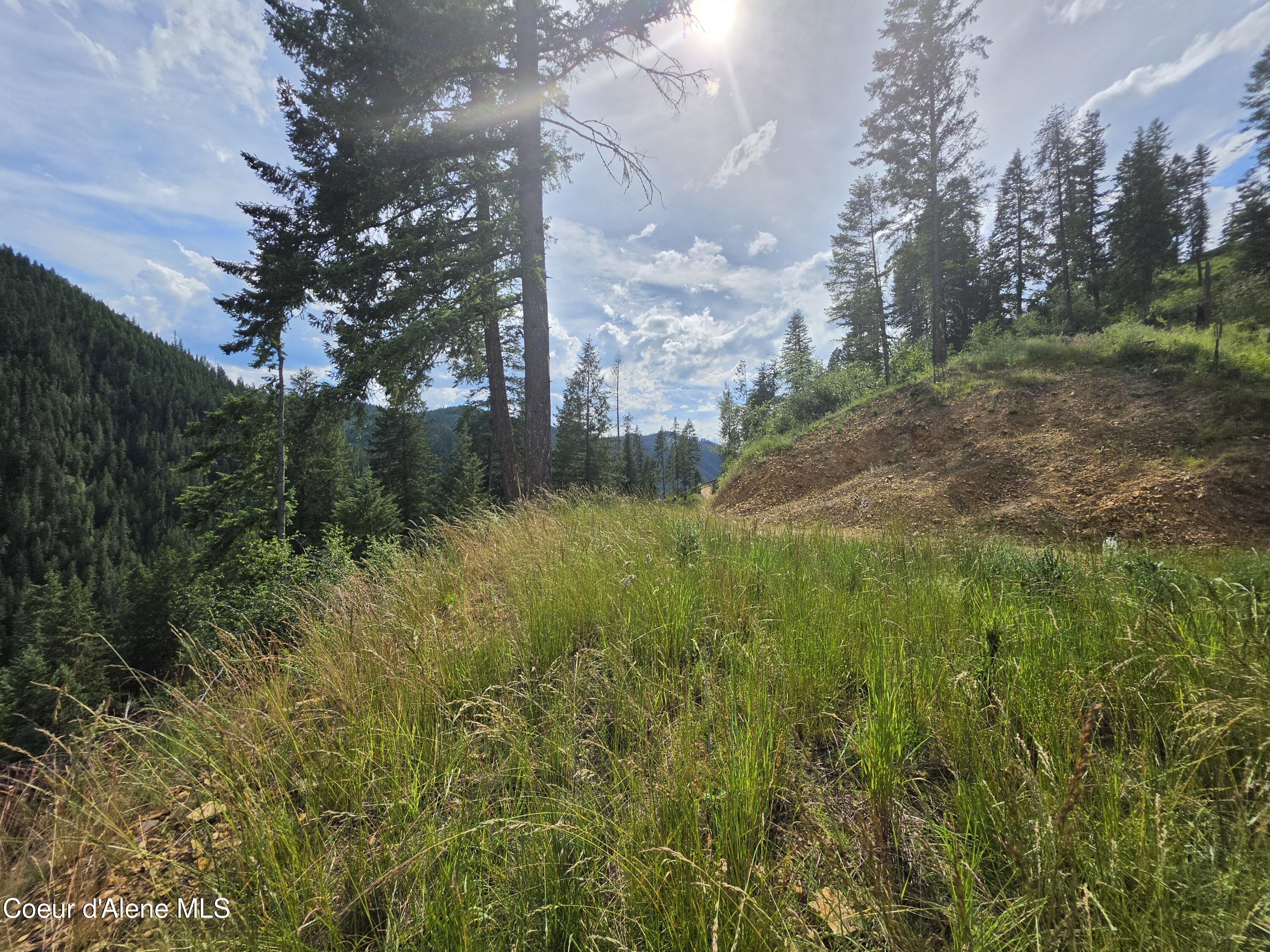 480 Dunn Peak Road Avery, ID 83802 - Photo 59 of 66 4th Building site