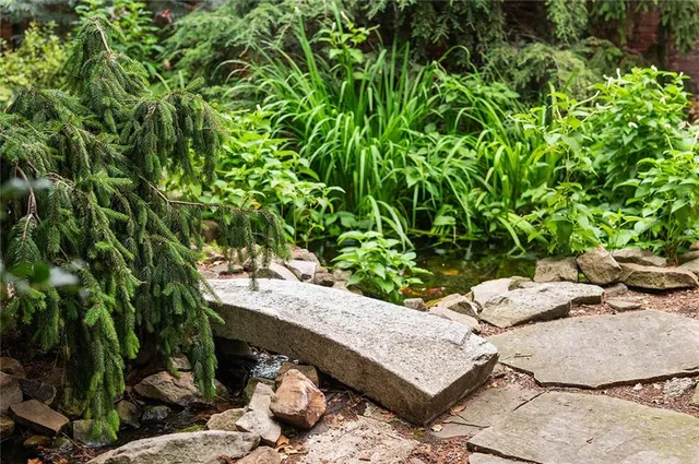a view of a backyard with plants and outdoor seating