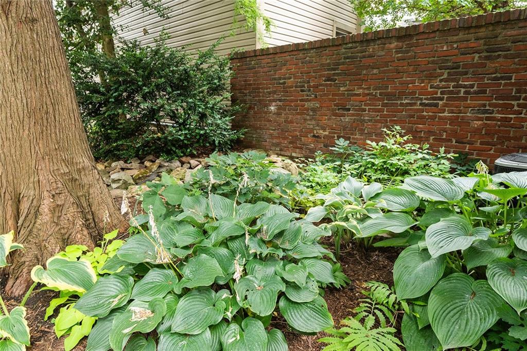 2220 Sarah Street, Unit 2 Pittsburgh, PA 15203 - Photo 25 of 34 a backyard of a house
