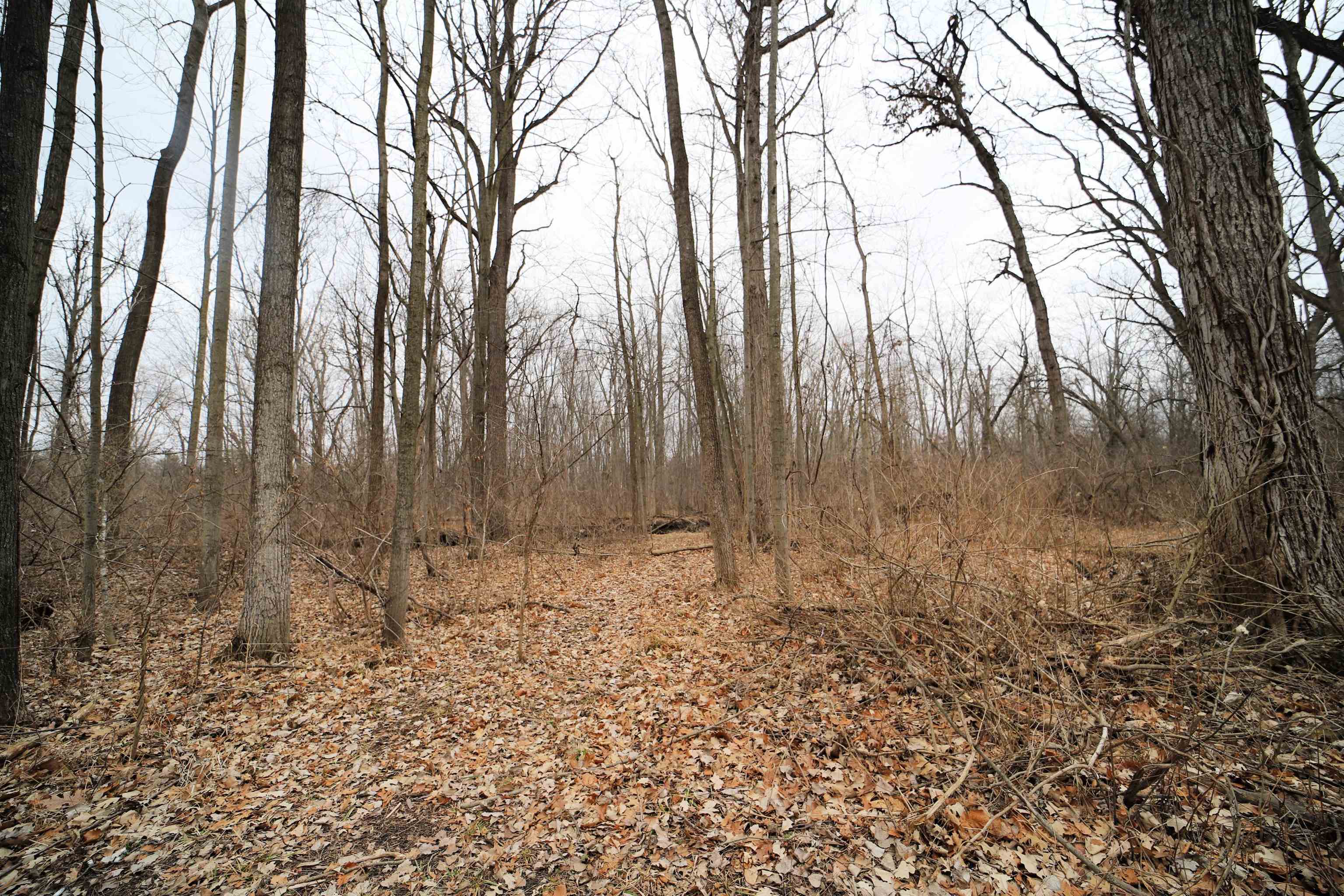 2315 Reid Road Grand Blanc, MI 48439 - Photo 33 of 60 50102036-32.JPG
