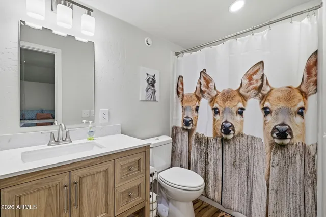 a bathroom with a sink and mirror