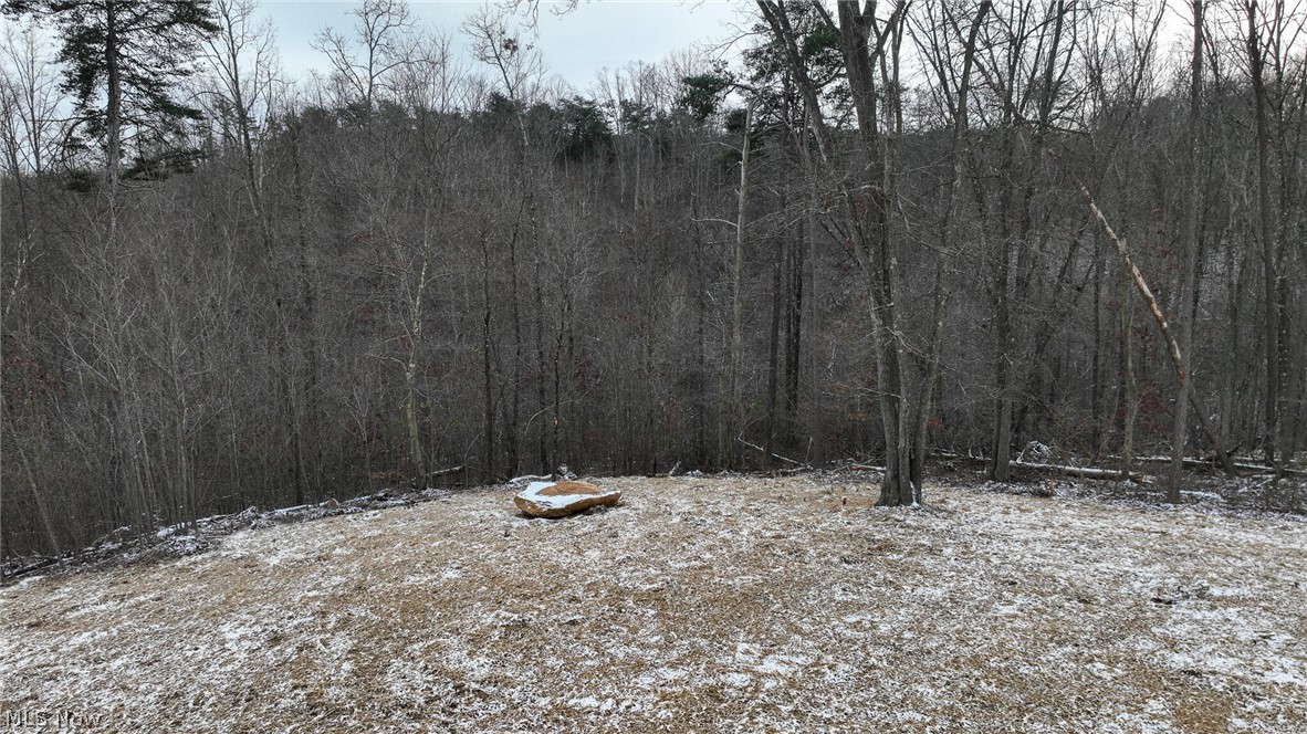 0 Holbrook Road Beaver, OH 45613 - Photo 4 of 12