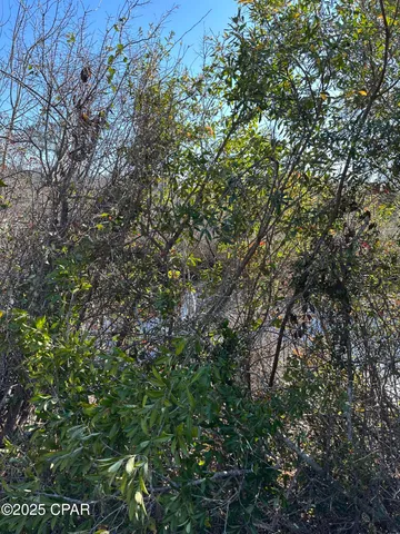 $75,000 | 31 Indian Bluff Drive, Youngstown, FL 32466