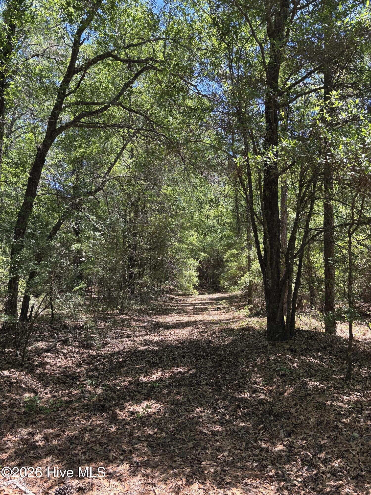 0 Warbonnet Road Springfield, SC 29146 - Photo 10 of 16 part of pathway