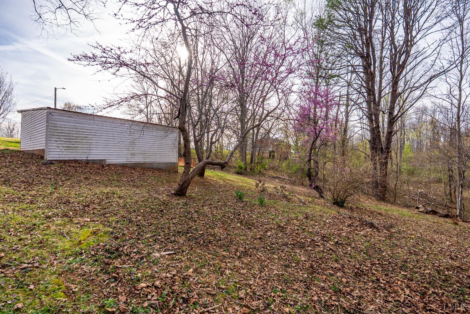 997 Toytown Road Amherst, VA 24521 - Photo 39 of 50 a backyard of a house with lots of green space