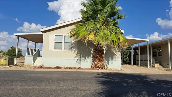 a couple of palm trees in front of house