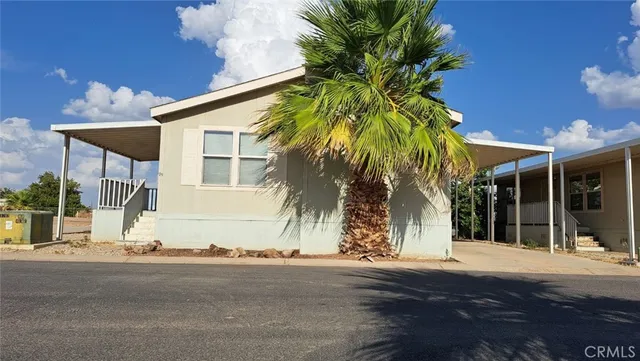 a couple of palm trees in front of house