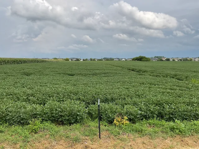 a view of a lush green outdoor space with a lake view and mountain view