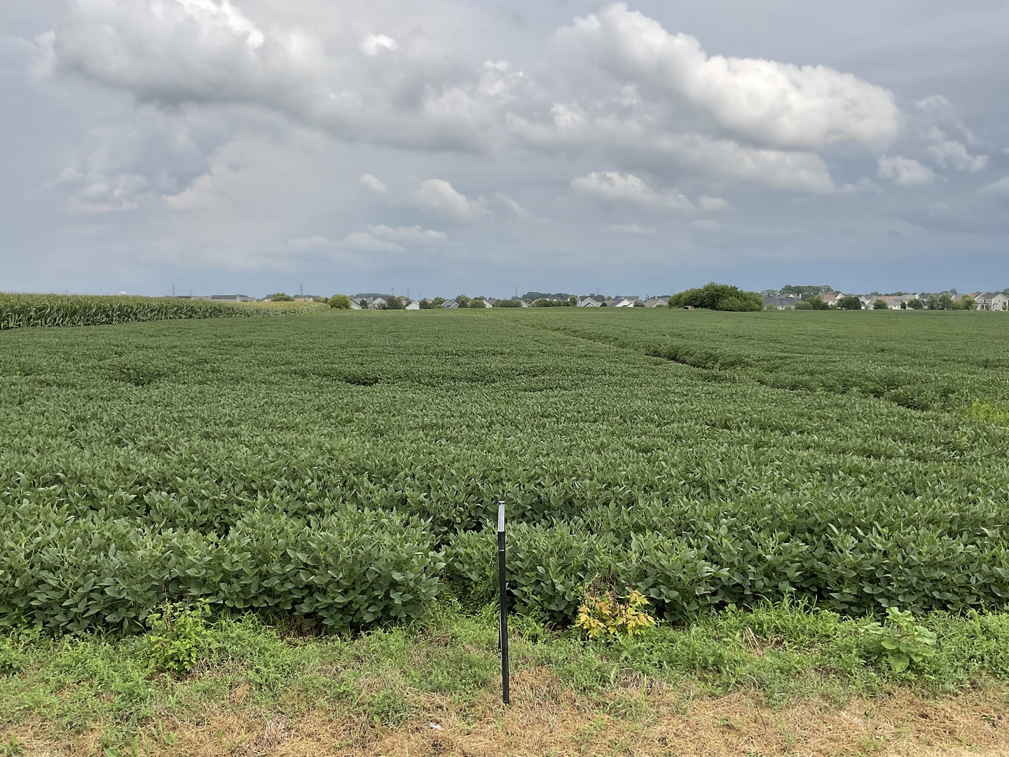 10.38-acres South Heggs Road Plainfield, IL 60585 - Photo 3 of 28 a view of a lush green outdoor space with a lake view and mountain view
