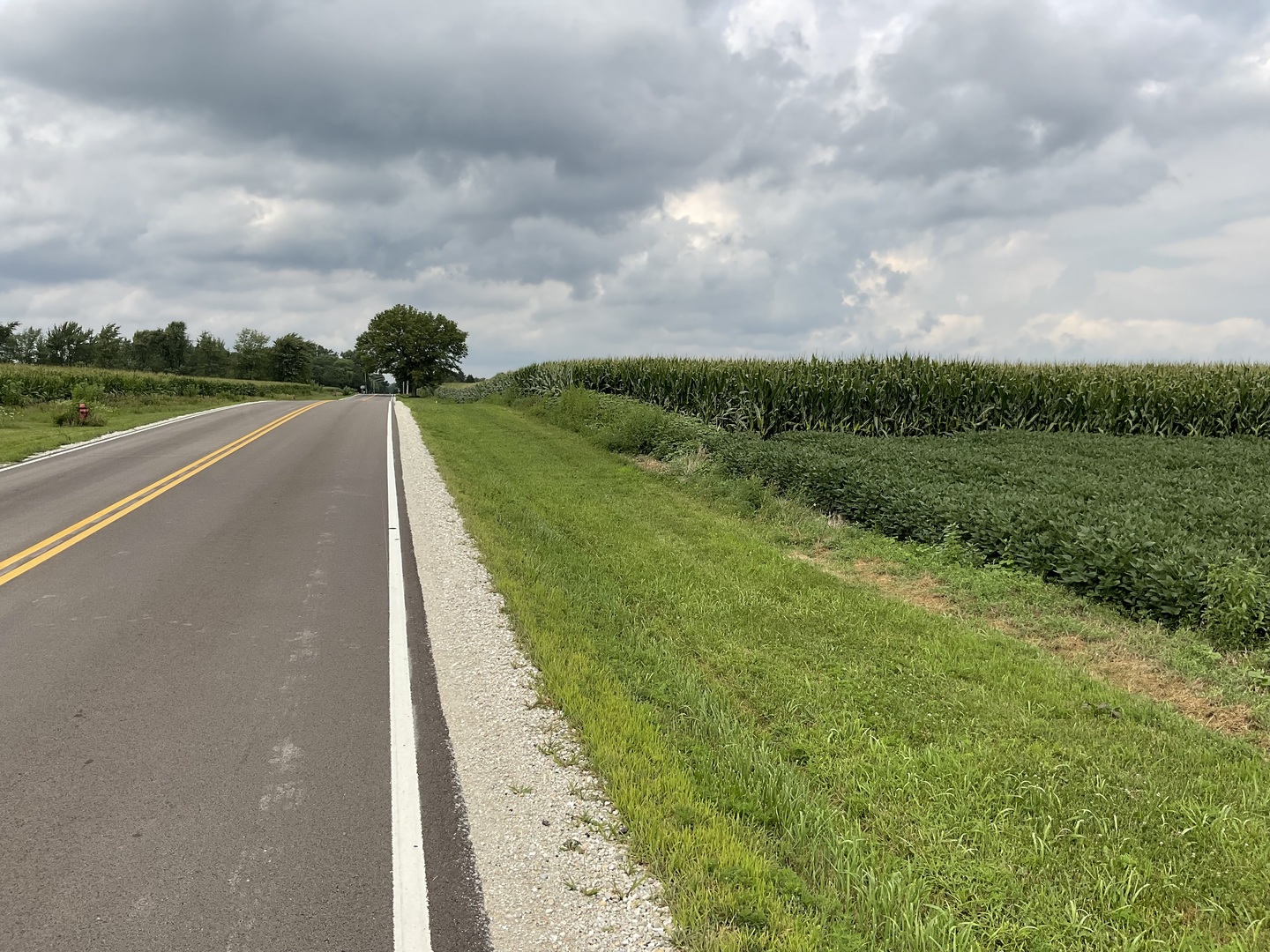 10.38-acres South Heggs Road Plainfield, IL 60585 - Photo 4 of 28 a view of a street with a big yard and a large tree