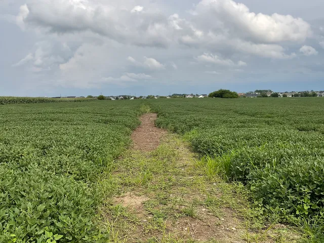 a view of lake with mountain