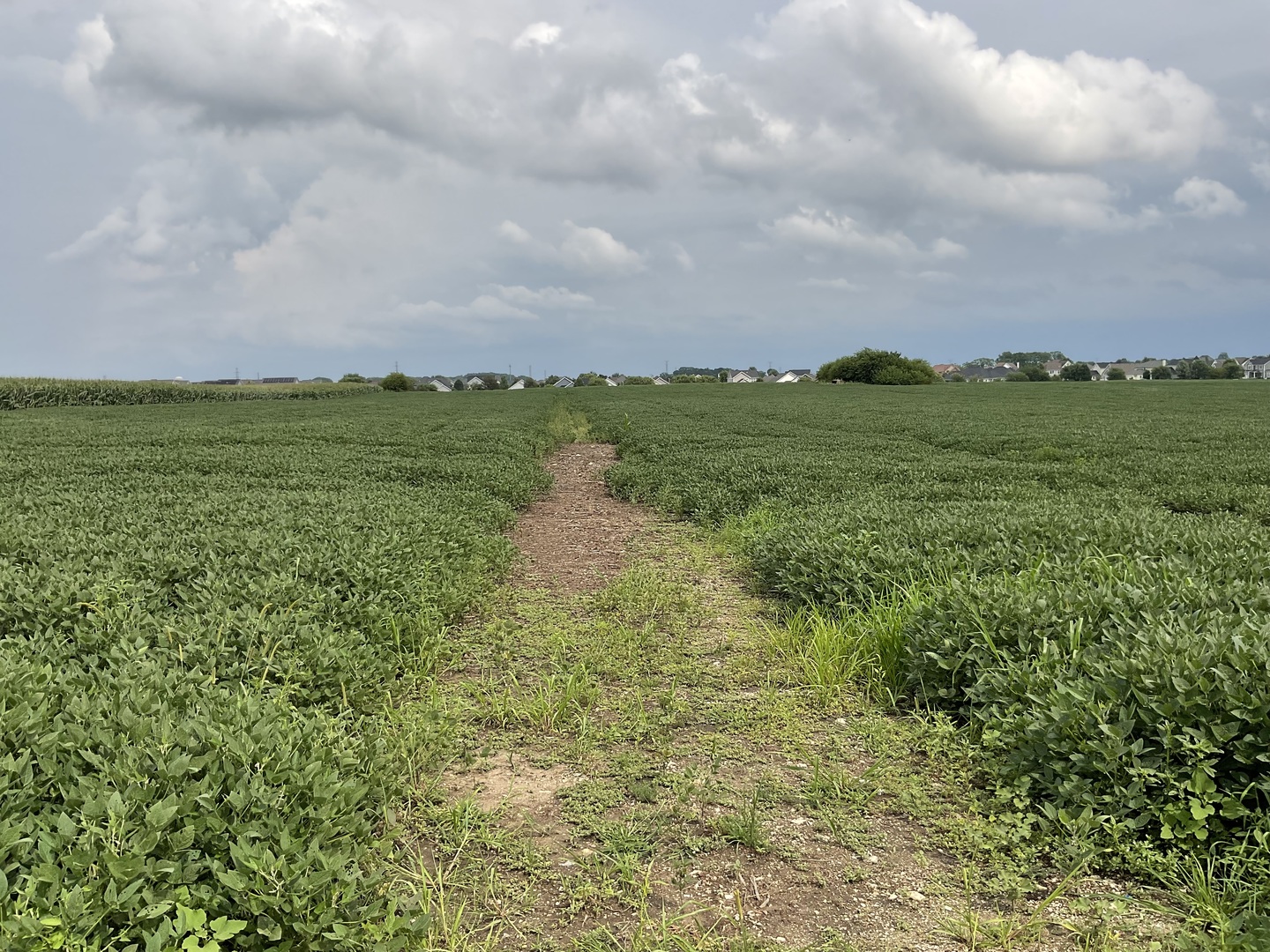 10.38-acres South Heggs Road Plainfield, IL 60585 - Photo 5 of 28 a view of lake with mountain