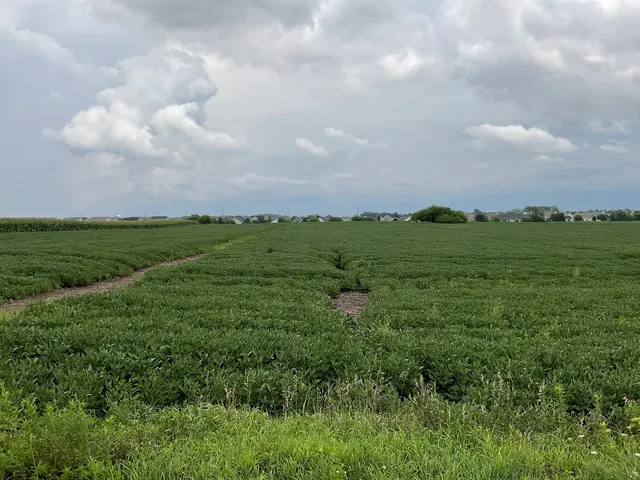 a view of a big yard with lots of green space