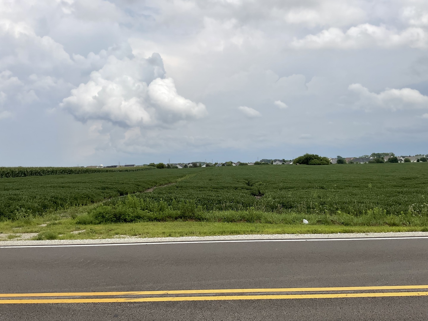 10.38-acres South Heggs Road Plainfield, IL 60585 - Photo 9 of 28 a view of a golf course with swimming pool