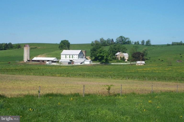 8302 Mapleville Road Mount Airy, MD 21771 - Photo 1 of 21 a view of a grassy field with an trees