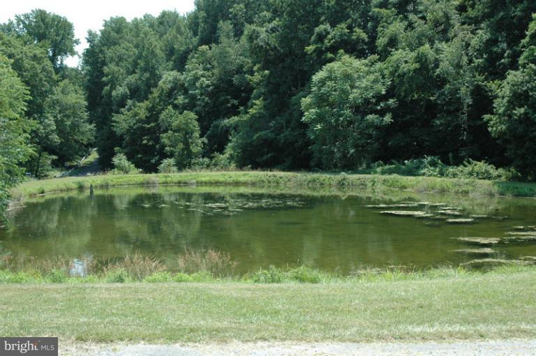 8302 Mapleville Road Mount Airy, MD 21771 - Photo 7 of 21 a view of a lake with a yard and large trees