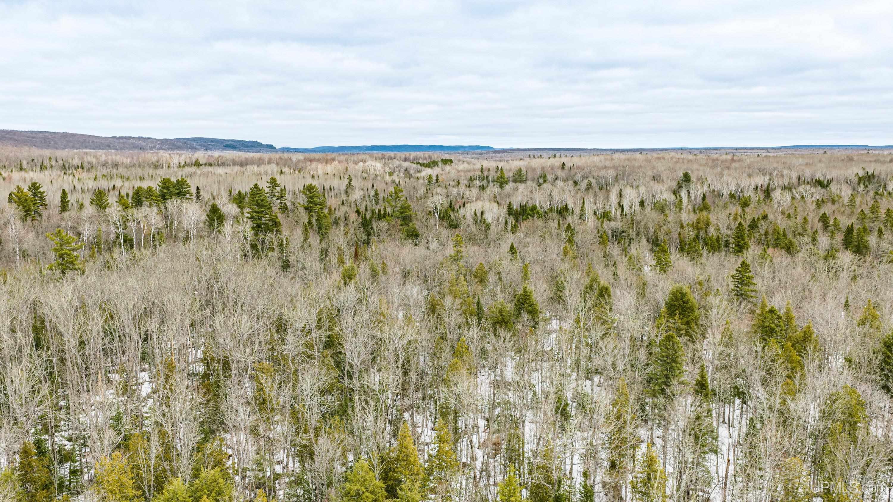 Tbd38 East Shore Road Bergland, MI 49910 - Photo 6 of 39