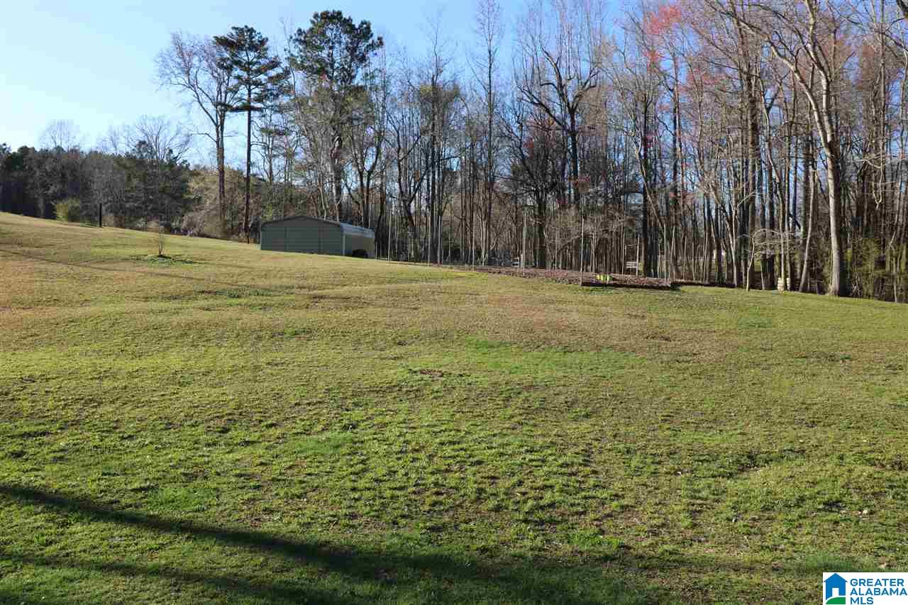595 Fincher Road Pell City, AL 35128 - Photo 30 of 47