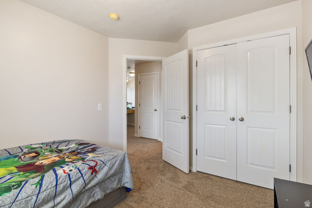 12238 South Madison View Drive Riverton, UT 84065 - Photo 23 of 37