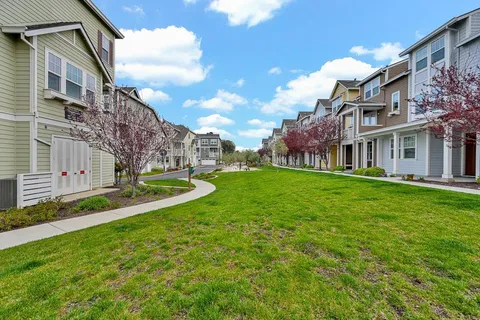a view of a big yard in front of the house