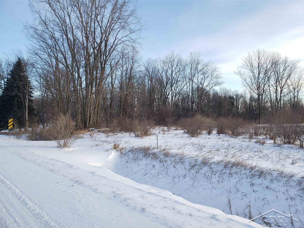 5120 5 Mile Road Hope, MI 48628 - Photo 3 of 17