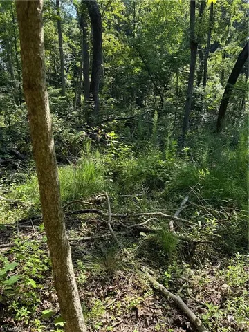 $2,900,000 | 3138 Maple Avenue, Burlington, NC 27215