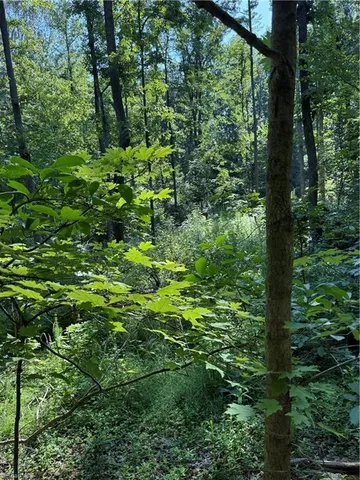 $2,900,000 | 3138 Maple Avenue, Burlington, NC 27215