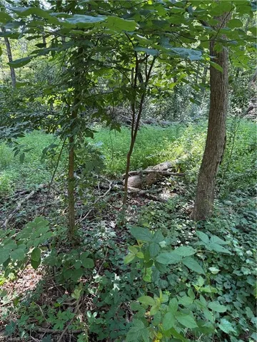 $2,900,000 | 3138 Maple Avenue, Burlington, NC 27215