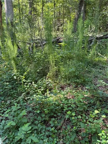 $2,900,000 | 3138 Maple Avenue, Burlington, NC 27215