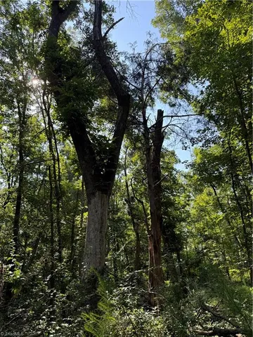 $2,900,000 | 3138 Maple Avenue, Burlington, NC 27215