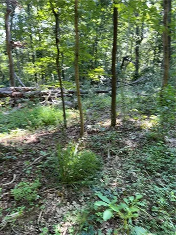 $2,900,000 | 3138 Maple Avenue, Burlington, NC 27215