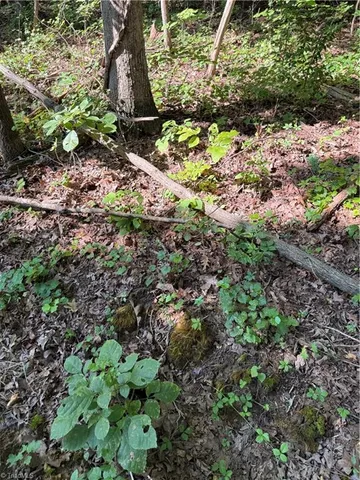 $2,900,000 | 3138 Maple Avenue, Burlington, NC 27215