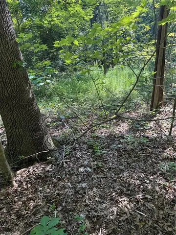 $2,900,000 | 3138 Maple Avenue, Burlington, NC 27215